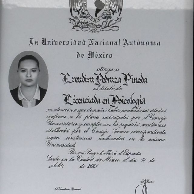 Ampliar imagen: certificate 1