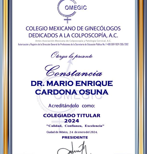 Ampliar imagen: certificate 3