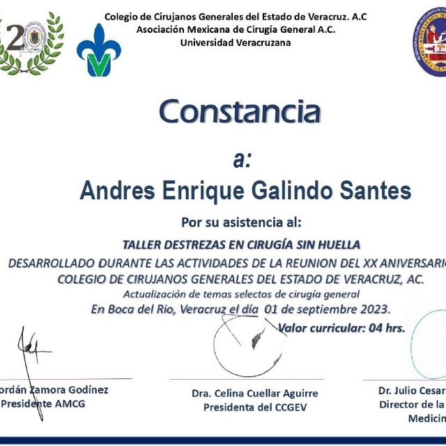 Ampliar imagen: certificate 4