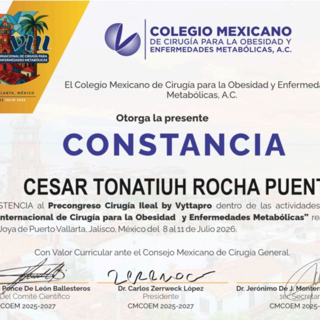 Ampliar imagen: certificate 66