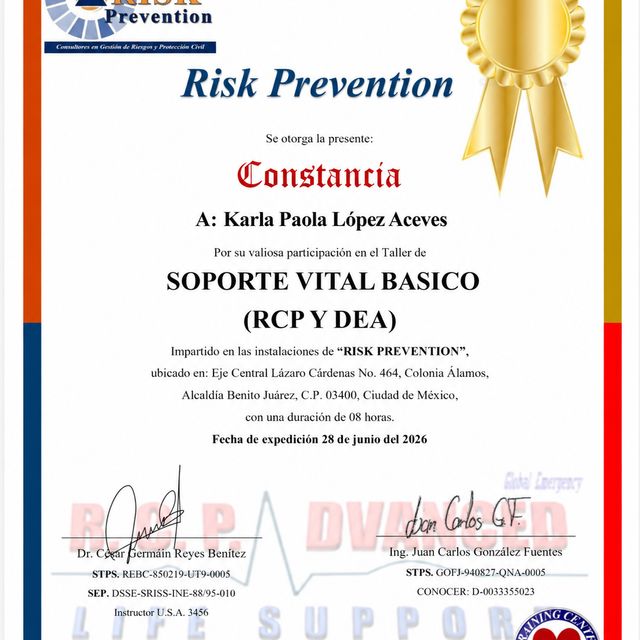 Ampliar imagen: certificate 3