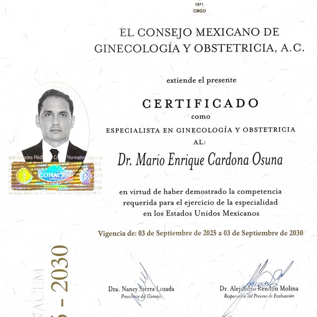 Ampliar imagen: certificate 1