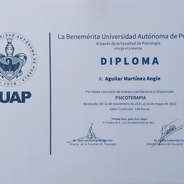 Ampliar imagen: certificate 4