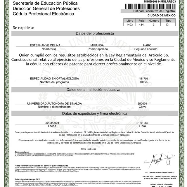 Ampliar imagen: certificate 5