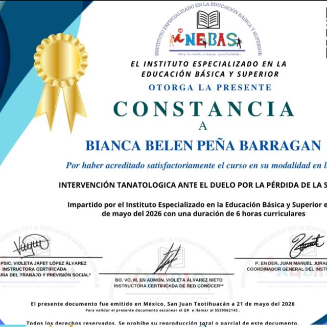Ampliar imagen: certificate 22
