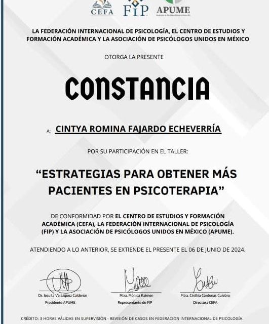 Ampliar imagen: certificate 7