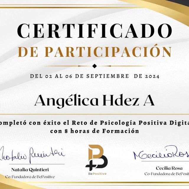 Ampliar imagen: certificate 3
