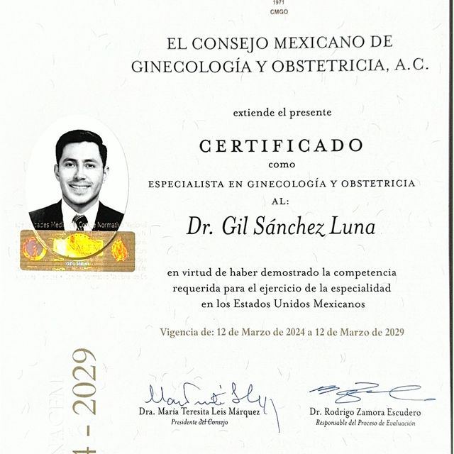 Ampliar imagen: certificate 1