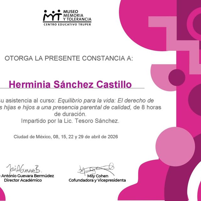 Ampliar imagen: certificate 3