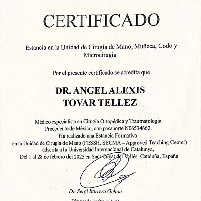 Ampliar imagen: certificate 3