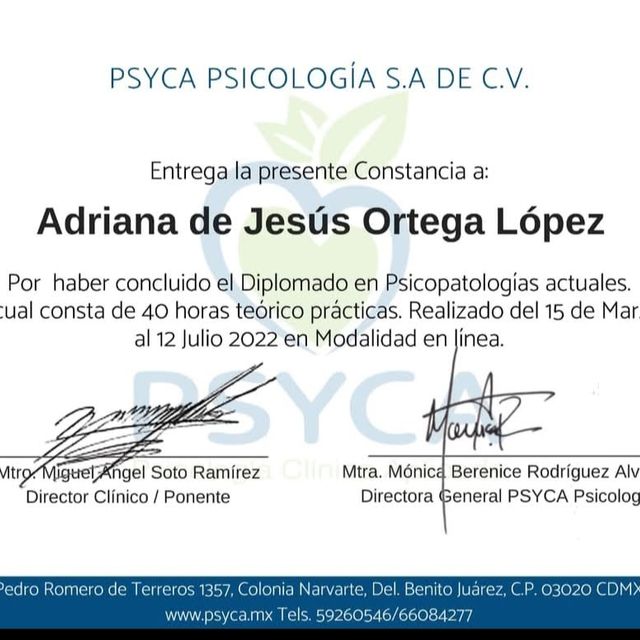 Ampliar imagen: certificate 7