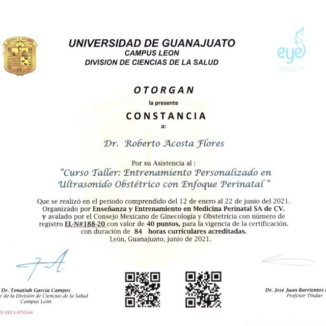 Ampliar imagen: certificate 2