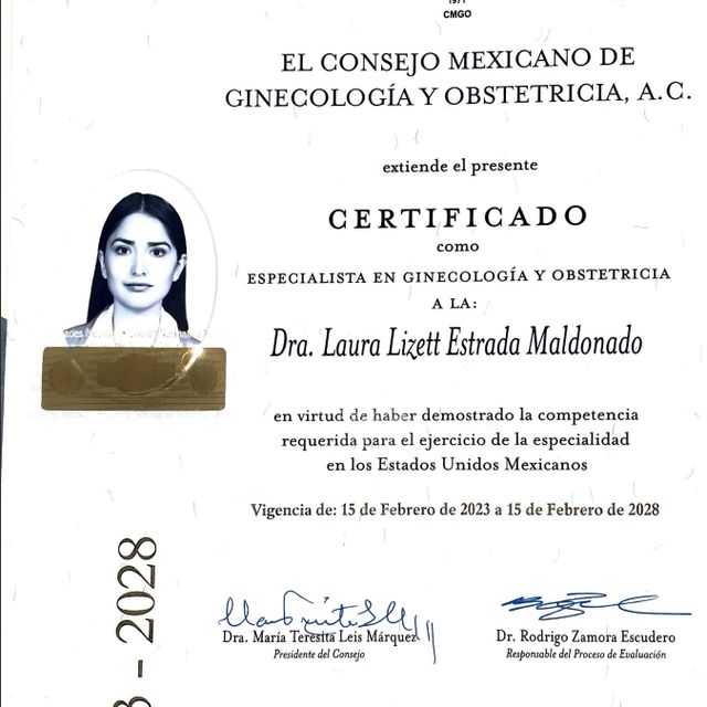 Ampliar imagen: certificate 3