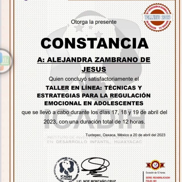 Ampliar imagen: certificate 1