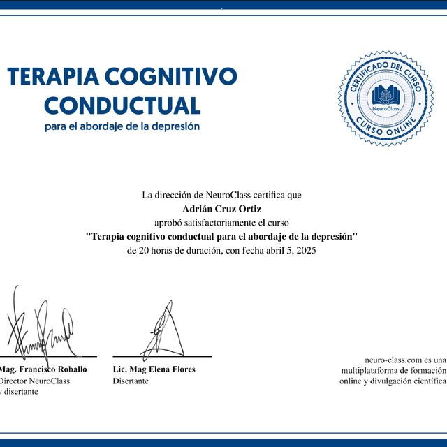 Ampliar imagen: certificate 15