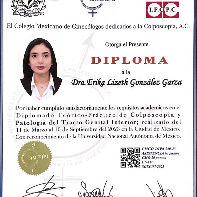 Ampliar imagen: certificate 3