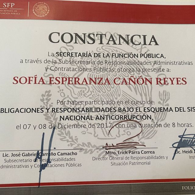 Ampliar imagen: certificate 9