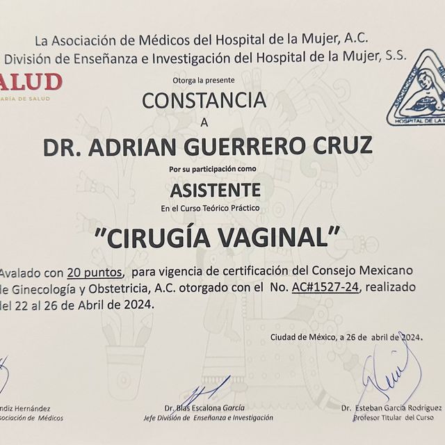 Ampliar imagen: certificate 9