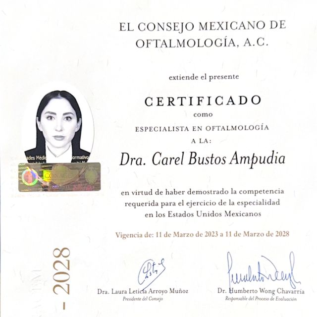 Ampliar imagen: certificate 5