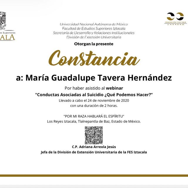 Ampliar imagen: certificate 29