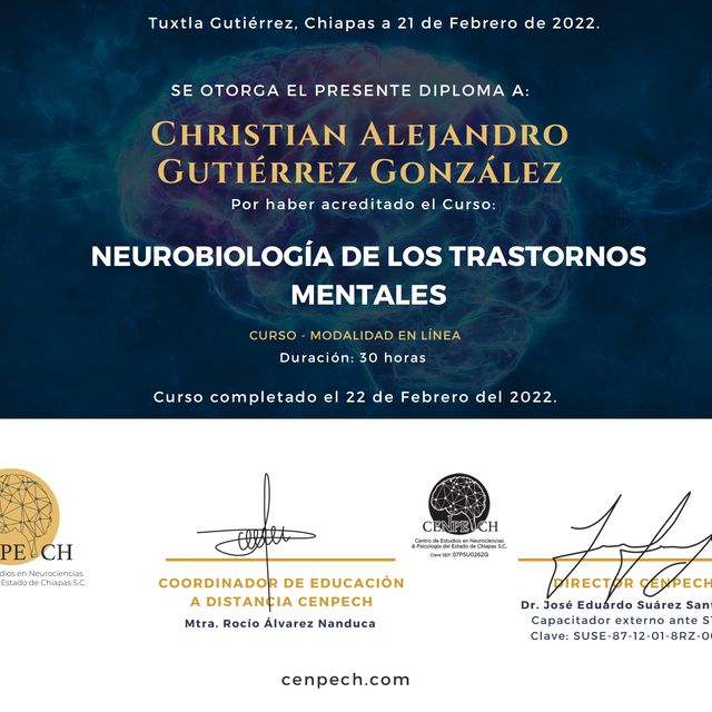 Ampliar imagen: certificate 15