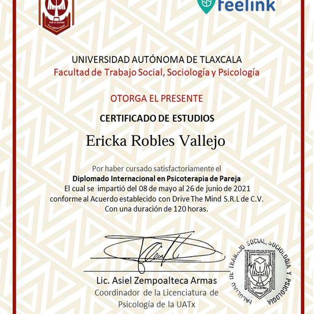 Ampliar imagen: certificate 13