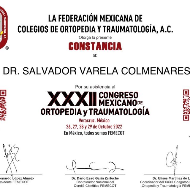 Ampliar imagen: certificate 25