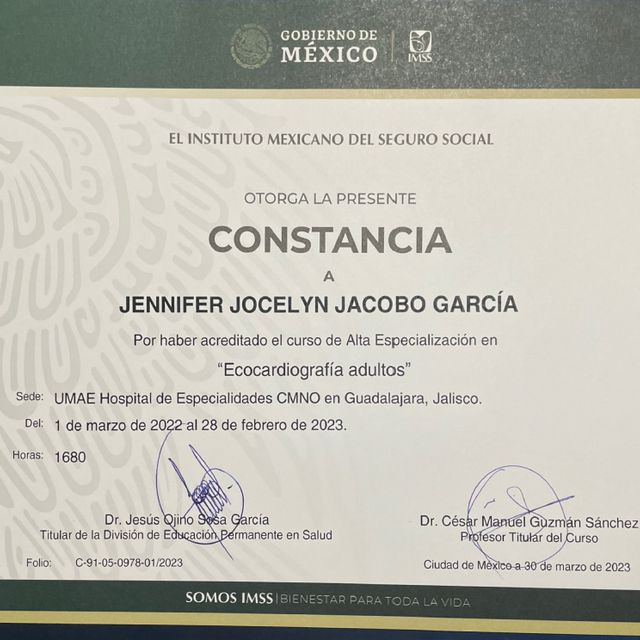 Ampliar imagen: certificate 5