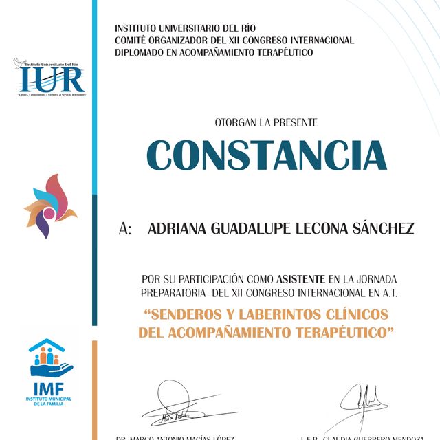 Ampliar imagen: certificate 7