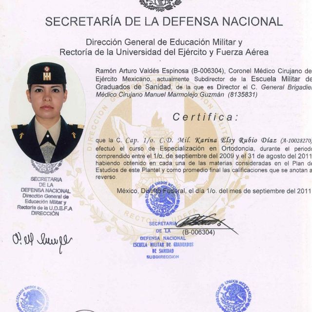 Ampliar imagen: certificate 2