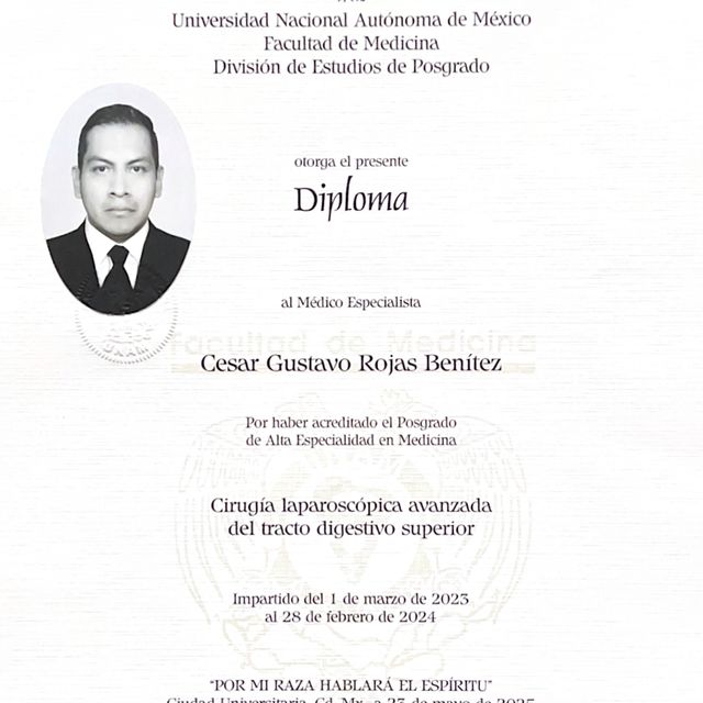 Ampliar imagen: certificate 5