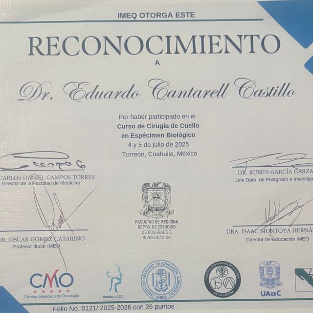 Ampliar imagen: certificate 4