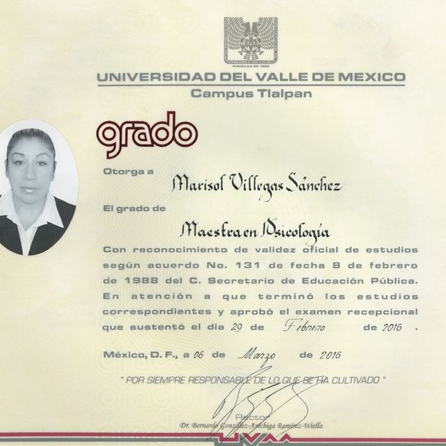 Ampliar imagen: certificate 4
