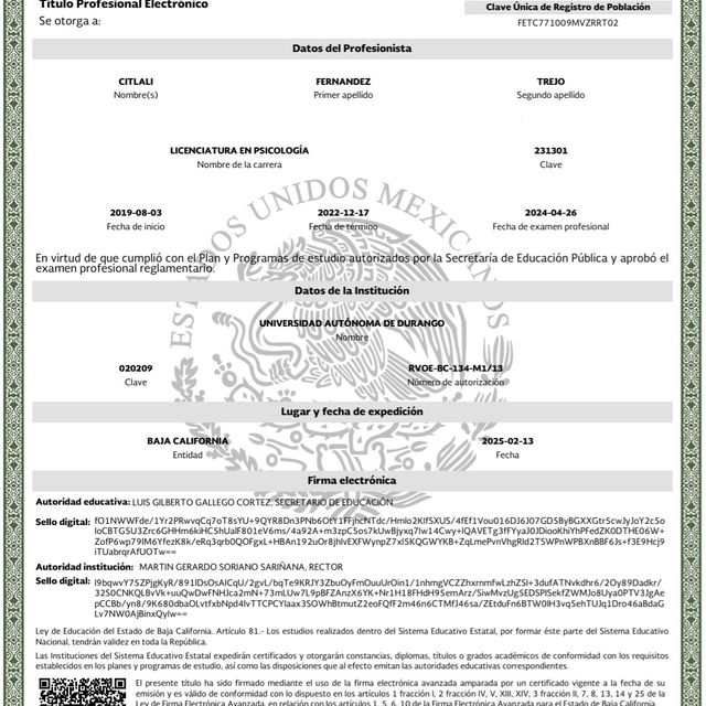 Ampliar imagen: certificate 3