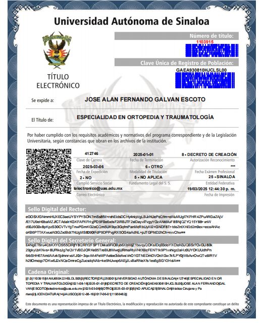Ampliar imagen: certificate 2