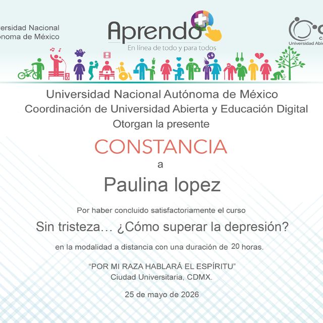 Ampliar imagen: certificate 9