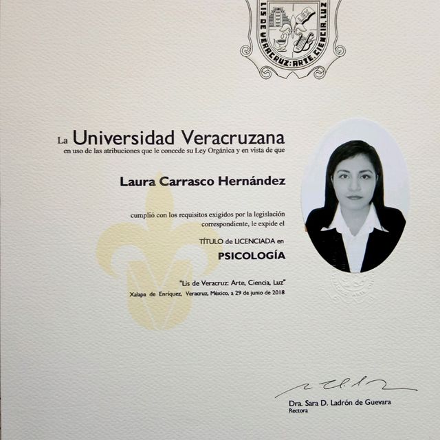Ampliar imagen: certificate 2