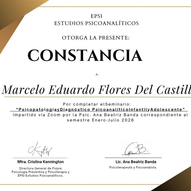 Ampliar imagen: certificate 4
