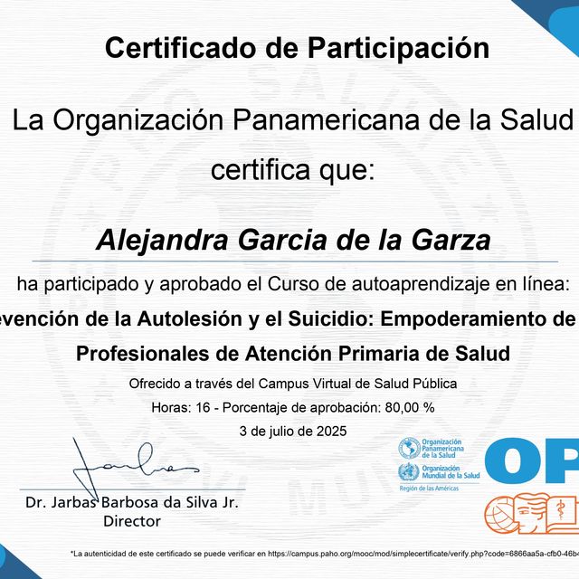 Ampliar imagen: certificate 3