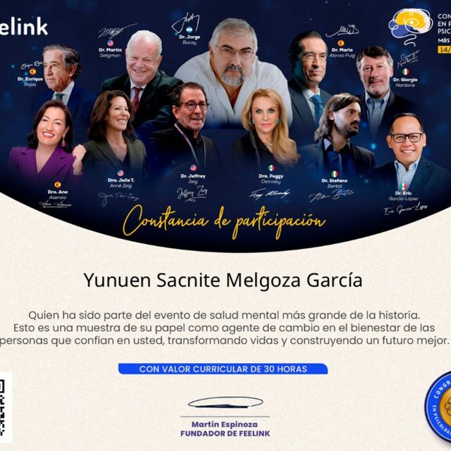 Ampliar imagen: certificate 2