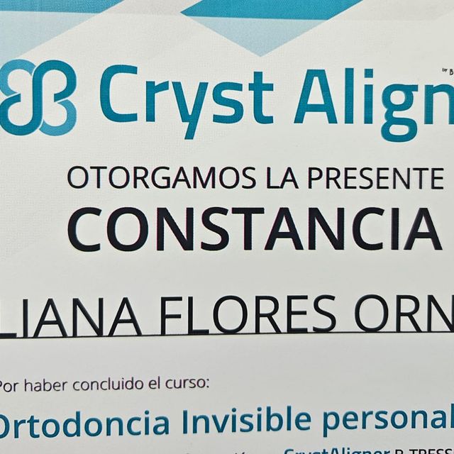Ampliar imagen: certificate 13