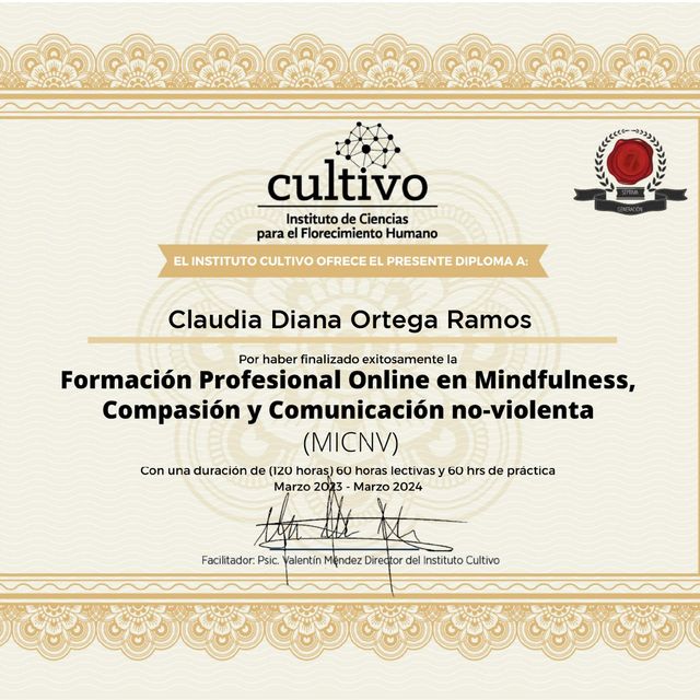 Ampliar imagen: certificate 3