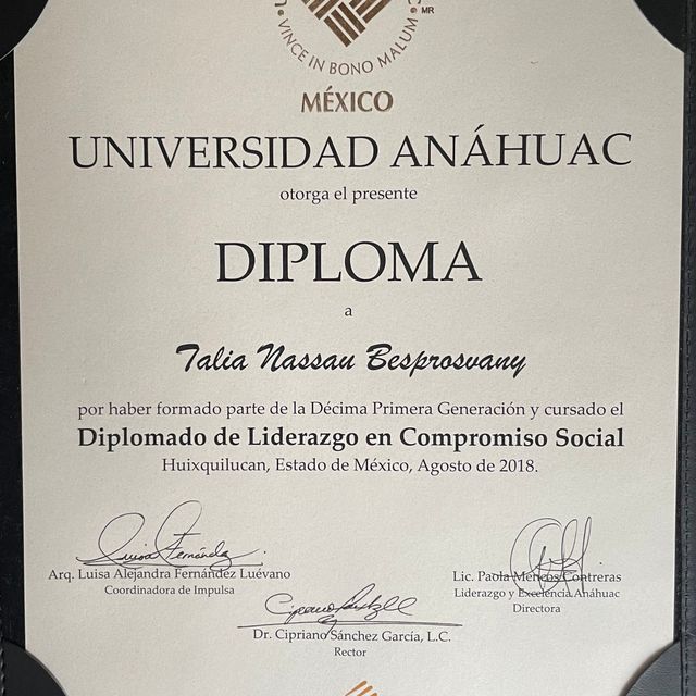 Ampliar imagen: certificate 5
