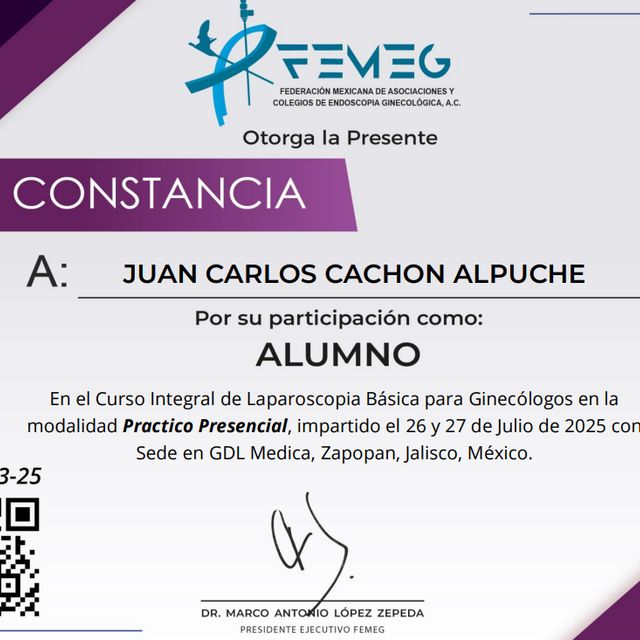 Ampliar imagen: certificate 4