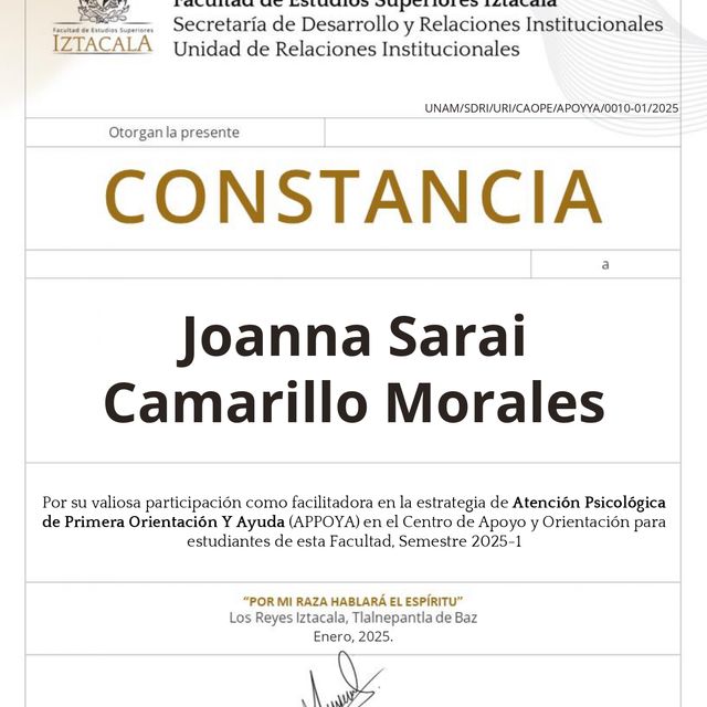 Ampliar imagen: certificate 4