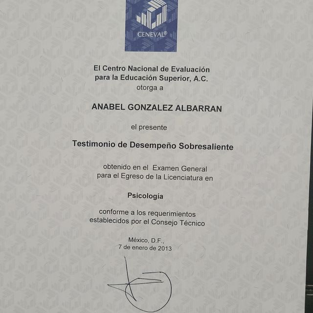 Ampliar imagen: certificate 13