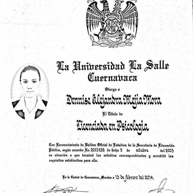 Ampliar imagen: certificate 5