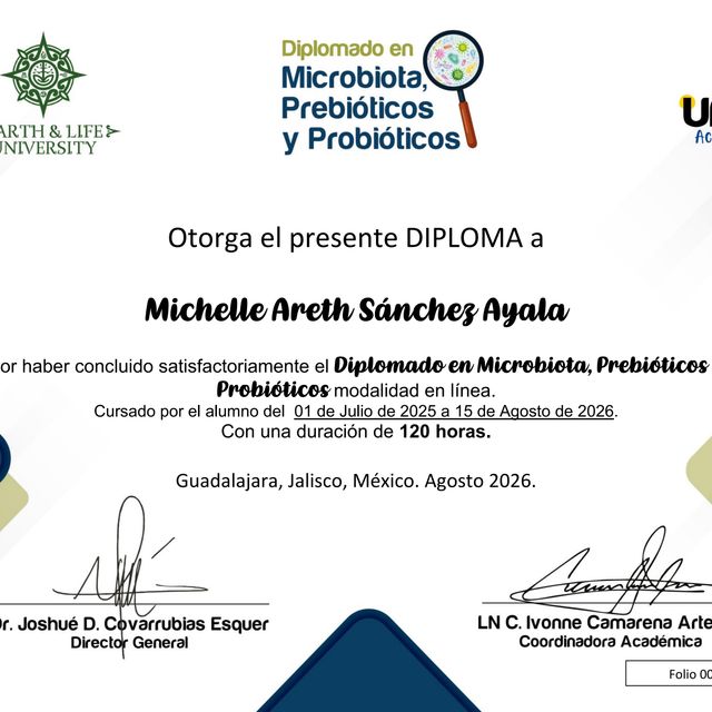 Ampliar imagen: certificate 3