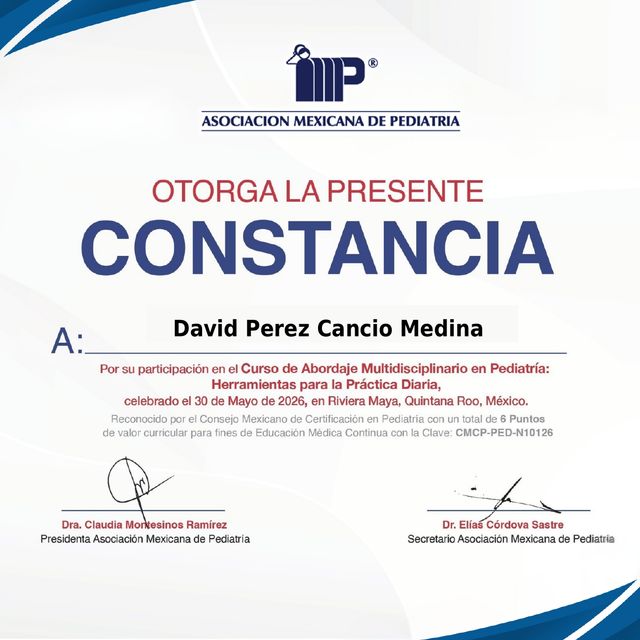 Ampliar imagen: certificate 14