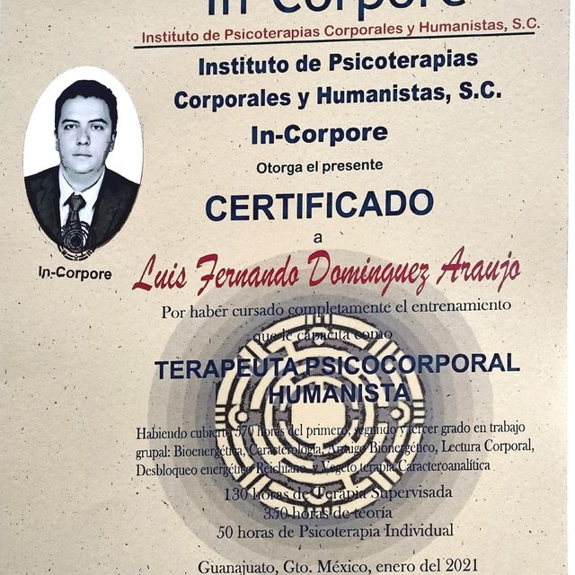 Ampliar imagen: certificate 7